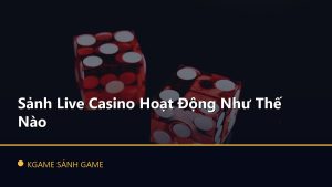 Read more about the article Sảnh Live Casino Hoạt Động Như Thế Nào